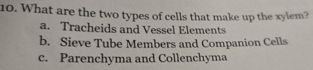 What are the two types of cells that make up the xylem?
a. Tracheids and Vessel Elements
b. Sieve Tube Members and Companion Cells
c. Parenchyma and Collenchyma