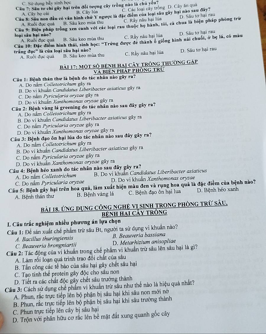 C. Sử dụng bẫy sinh học
Câu 7: Sâu tơ chỉ gây hại trên đối tượng cây trồng nào là chủ yếu?
A. Cây họ cải B. Cây lúa C. Các loại cây trồng D. Cây ăn quả
Câu 8: Sâu non đầu có vân hình chứ Y ngược là đặc điểm của loại sâu gây hại nào sau đây?
A. Ruồi đục quả B. Sâu keo mùa thu C. Rầy nâu hại lúa D. Sâu tơ hại rau
Câu 9: Biên pháp trồng xen canh với các loại rau thuộc họ hành, tỏi, cả chua là biện pháp phòng trừ
loại sâu hại nào?
A. Ruồi đục quả B. Sâu keo mùa thu C. Rầy nâu hại lúa D. Sâu tơ hại rau
Câu 10: Đặc điểm hình thái, sinh học: “Trứng được đẻ thành ô giống hình nải chuối, ở bẹ lá, có màu
trắng đục" là của loại sâu hại nào?
A. Ruồi đục quả B. Sâu keo mùa thu C. Rầy nâu hại lúa D. Sâu tơ hại rau
Bài 17: Một số bệnh hai cây trông thường gặp
và biện pháp phòng trừ
Câu 1: Bệnh thán thư là bệnh do tác nhân nào gây ra?
A. Do nấm Colletotrichum gây ra
B. Do vi khuẩn Candidatus Liberibacter asiaticus gây ra
C. Do nấm Pyricularia oryzae gây ra
D. Do vi khuẩn Xanthomonas oryzae gây ra
Câu 2: Bệnh vàng lá greening do tác nhân nào sau đây gây ra?
A. Do nấm Colletotrichum gây ra
B. Do vi khuẩn Candidatus Liberibacter asiaticus gây ra
C. Do nấm Pyricularia oryzae gây ra
D. Do vi khuẩn Xanthomonas oryzae gây ra
Câu 3: Bệnh đạo ôn hại lúa do tác nhân nào sau đây gây ra?
A. Do nấm Colletotrichum gây ra
B. Do vi khuẩn Candidatus Liberibacter asiaticus gây ra
C. Do nấm Pyricularia oryzae gây ra
D. Do vi khuẩn Xanthomonas oryzae gây ra
Câu 4: Bệnh héo xanh do tác nhân nào sau đây gây ra?
A. Do nấm Colletotrichum B. Do vi khuẩn Candidatus Liberibacter asiaticus
C. Do nấm Pyricularia oryzae D. Do vi khuẩn Xanthomonas oryzae
Câu 5: Bệnh gây hại trên hoa quả, làm xuất hiện màu đen và rụng hoa quả là đặc điểm của bệnh nào?
A. Bệnh thán thư B. Bệnh vàng lá  C. Bệnh đạo ôn hại lua D. Bệnh héo xanh
bài 18. ỨnG DụnG CônG nGHỆ VI sINH tROnG pHònG tRừ sâu,
bệNH HạI CÂY tRồNG
I. Câu trắc nghiệm nhiều phương án lựa chọn
Câu 1: Để sản xuất chế phẩm trừ sâu Bt, người ta sử dụng vi khuẩn nào?
A. Bacillus thuringiensis B. Beauveria bassiana
C. Beauveria brongniartii D. Metarhizium anisopliae
Câu 2: Tác động của vi khuẩn trong chế phẩm vi khuẩn trừ sâu lên sâu hại là gì?
A. Làm rối loạn quá trình trao đồi chất của sâu
B. Tấn công các tế bào của sâu hại gây chết sâu hại
C. Tạo tinh thể protein gây độc cho sâu non
D. Tiết ra các chất độc gây chết sâu trưởng thành
Câu 3: Cách sử dụng chế phẩm vi khuẩn trừ sâu như thế nào là hiệu quả nhất?
A. Phun, rắc trực tiếp lên bộ phận bị sâu hại khi sâu non mới nở
B. Phun, rắc trực tiếp lên bộ phận bị sâu hại khi sâu trưởng thành
C. Phun trực tiếp lên cây bị sâu hại
D. Trộn với phân hữu cơ rắc lên bề mặt đất xung quanh gốc cây