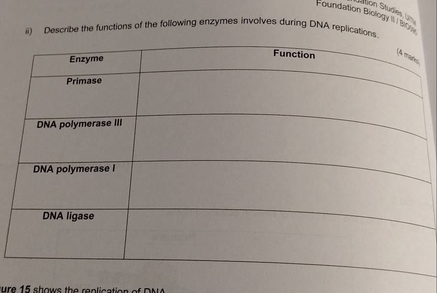 Foundation Biology II / B10 
ii) Describe the functions of the following enzymes involves during DNA replication 
ure 15 shows the replication of D N