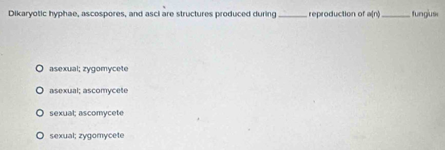 Dikaryotic hyphae, ascospores, and asci are structures produced during_ reproduction of a(n) _ fungus
asexual; zygomycete
asexual; ascomycete
sexual; ascomycete
sexual; zygomycete