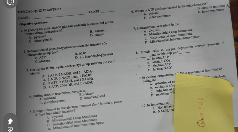 B. electron transport ch
CLASS : 6. Where is ATP synthase located in the mitochondrion?
TOPICAL QUIZ CHAPTER 5
A. cytosol
NAME :
1. In glycolysis, a six-carbon glucose molecule is converted to two C. outer membrane D. inner membrane
Objective questions.
C. coenzyme A 7. Fermentation takes place in the
three-carbon molecules of: B. acetate
B. Mitochondrial Outer Membrane.
A. pyruvate D. citrate A. Cytosol.
D. Mitochondrial Intermembrane Space.
2. Substrate-level phosphorylation involves the transfer of a C. Mitochondrial Inner Membrane.
phosphate group from: B. ADP
8. Muscle cells in oxygen deprivation convert pyruvate to
A. ATP D. 1,3 -bisphosphoglycerate
ATP 
3. During the Krebs cycle, each acetyl group entering the cycle _A. lactate; ,and in this step gain .
C. glucose CO_2
A. 1 ATP, 2 NADH, and 3 FADH₂. B. alcohol; C. alcohol; ATP
yields:
B. 1 ATP, 3 NADH, and 1 FADH₂. D. lactate; NA D^+
t alcohol).
D. 4 ATP, 2 NADH, and 1 FADH₂. 9. In alcohol fermentation, ?`* ** is regenerated from NADH
C. 3 ATP, 2 NADH, and 1 FADH₂.
B. oxidation of p!
4. During aerobic respiration, oxygen is: during the A. reduction of ac
A. oxidized B. reduced C. reduction of p
C. phosphorylated D. decarboxyiated
5. Energy released by the electron transport chain is used to pump D. oxidation of N
10. In fermentation,
H° ions into which location?
B. Mitochondrial Outer Membrane A. NADH; redr B. NADH; oxi
A. Cytosol
,
C. Mitochondrial Inner Membrane
D. Mitochondrial Intermembrane Space