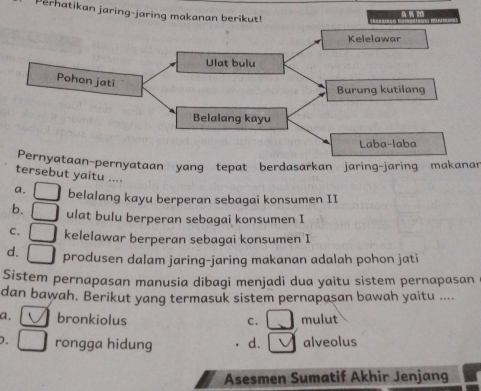 erhatikan jaring-jaring makanan berikut!
Kelelawar
Ulat bulu
Pohon jati
Burung kutilang
Belalang kayu
Laba-laba
Pernyataan-pernyataan yang tepat berdasarkan jaring-jaring makanar
tersebut yaitu ....
a. belalang kayu berperan sebagai konsumen II
b. ulat bulu berperan sebagai konsumen I
C. kelelawar berperan sebagai konsumen I
d. produsen dalam jaring-jaring makanan adalah pohon jati
Sistem pernapasan manusia dibagi menjadi dua yaitu sistem pernapasan
dan bawah. Berikut yang termasuk sistem pernapasan bawah yaitu ....
a、 bronkiolus C. mulut
D. rongga hidung d. alveolus
Asesmen Sumatif Akhir Jenjang