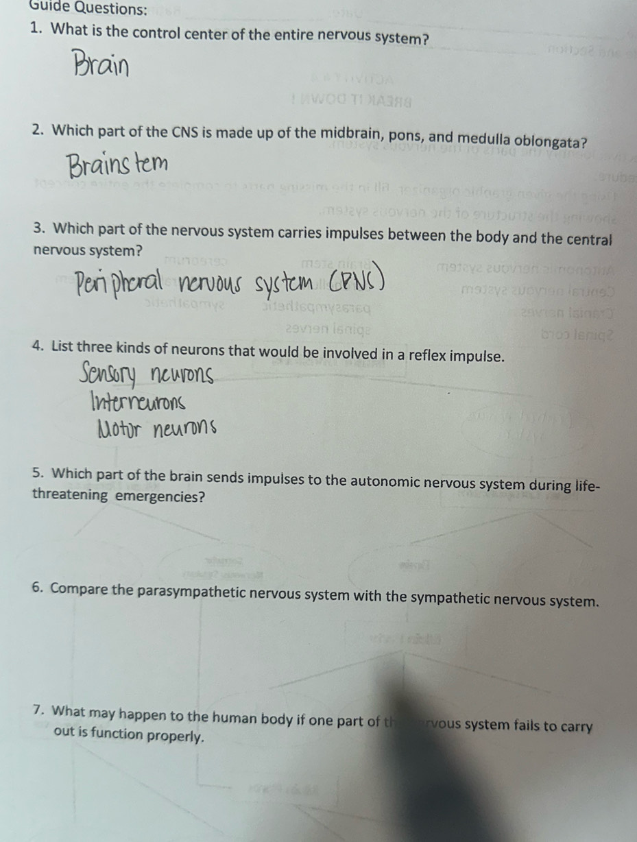 Guide Questions: 
1. What is the control center of the entire nervous system? 
2. Which part of the CNS is made up of the midbrain, pons, and medulla oblongata? 
3. Which part of the nervous system carries impulses between the body and the central 
nervous system? 
4. List three kinds of neurons that would be involved in a reflex impulse. 
5. Which part of the brain sends impulses to the autonomic nervous system during life- 
threatening emergencies? 
6. Compare the parasympathetic nervous system with the sympathetic nervous system. 
7. What may happen to the human body if one part of the arvous system fails to carry 
out is function properly.