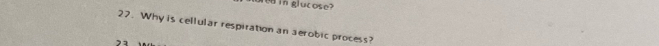 urd in glucose? 
27. Why is cellular respiration an aerobic process?