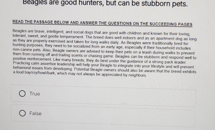 Solved: Beagles are good hunters, but can be stubborn pets. READ THE ...