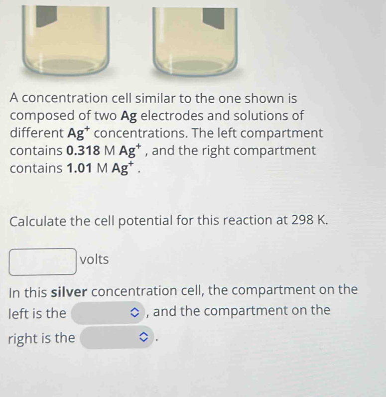 A concentration cell similar to the one shown is 
composed of two Ag electrodes and solutions of 
different Ag^+ concentrations. The left compartment 
contains 0.318MAg^+ , and the right compartment 
contains 1.01MAg^+. 
Calculate the cell potential for this reaction at 298 K. 
□ volts 
In this silver concentration cell, the compartment on the 
left is the , and the compartment on the 
right is the