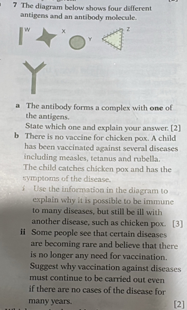 The diagram below shows four different 
antigens and an antibody molecule. 
W
x
Y
a The antibody forms a complex with one of 
the antigens. 
State which one and explain your answer. [2] 
b There is no vaccine for chicken pox. A child 
has been vaccinated against several diseases 
including measles, tetanus and rubella. 
The child catches chicken pox and has the 
symptoms of the disease. 
iUse the information in the diagram to 
explain why it is possible to be immune 
to many diseases, but still be ill with 
another disease, such as chicken pox. [3] 
ii Some people see that certain diseases 
are becoming rare and believe that there 
is no longer any need for vaccination. 
Suggest why vaccination against diseases 
must continue to be carried out even 
if there are no cases of the disease for 
many years. [2]