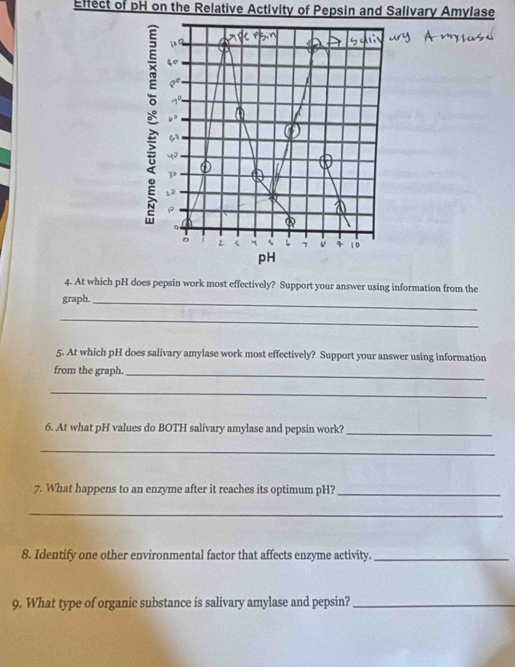 Effect of pH on the Relative Activity of Pepsin and Salivary Amylase 
4. At which pH does pepsin work most effectively? Support your answer using information from the 
graph._ 
_ 
5. At which pH does salivary amylase work most effectively? Support your answer using information 
from the graph._ 
_ 
6. At what pH values do BOTH salivary amylase and pepsin work?_ 
_ 
7. What happens to an enzyme after it reaches its optimum pH?_ 
_ 
8. Identify one other environmental factor that affects enzyme activity._ 
9. What type of organic substance is salivary amylase and pepsin?_