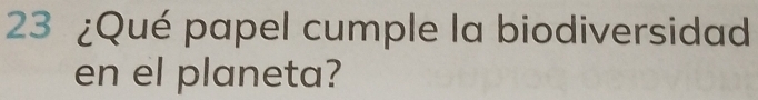 23 ¿Qué papel cumple la biodiversidad 
en el planeta?