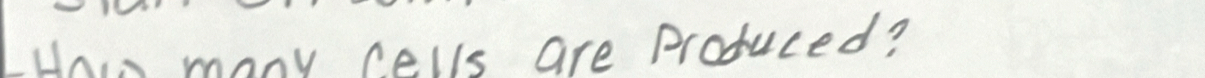 How many cells are Produced?