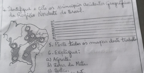 Iindiiqute eite os pimepain acidenten giognafion 
da Regido Nendaate do Braml. 
_ 
_ 
_ 
_ 
_ 
_ 
_ 
_ 
_ 
5. Pinidte todoo os mapon duce traball 
6. Explique: 
() AG×YE 
L zna da Matha. 
( Sodao: .