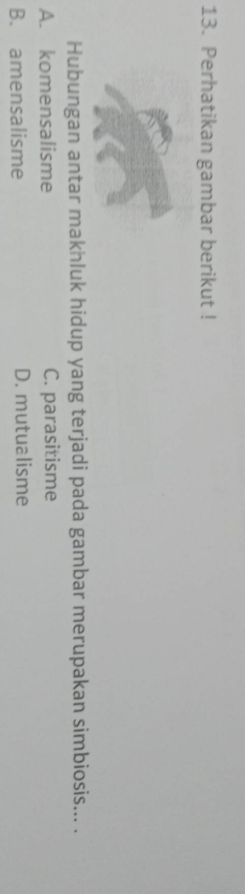 Perhatikan gambar berikut !
Hubungan antar makhluk hidup yang terjadi pada gambar merupakan simbiosis... .
A. komensalisme C. parasitisme
B. amensalisme D. mutualisme