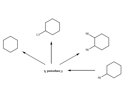 1 
、

X punodwoɔ