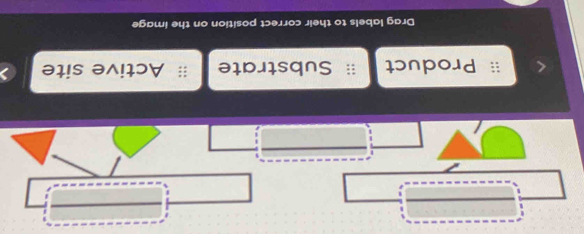 Product Substrate Active site
Drag labels to their correct position on the image