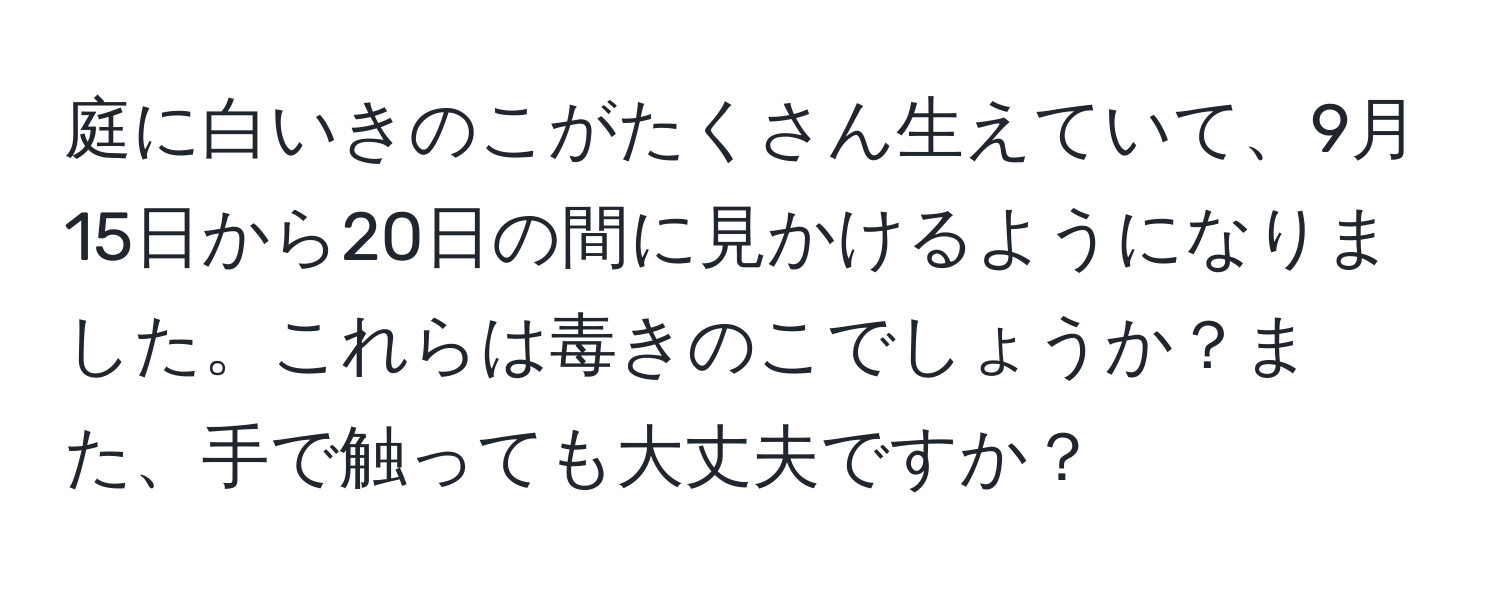 庭に白いきのこがたくさん生えていて、9月15日から20日の間に見かけるようになりました。これらは毒きのこでしょうか？また、手で触っても大丈夫ですか？