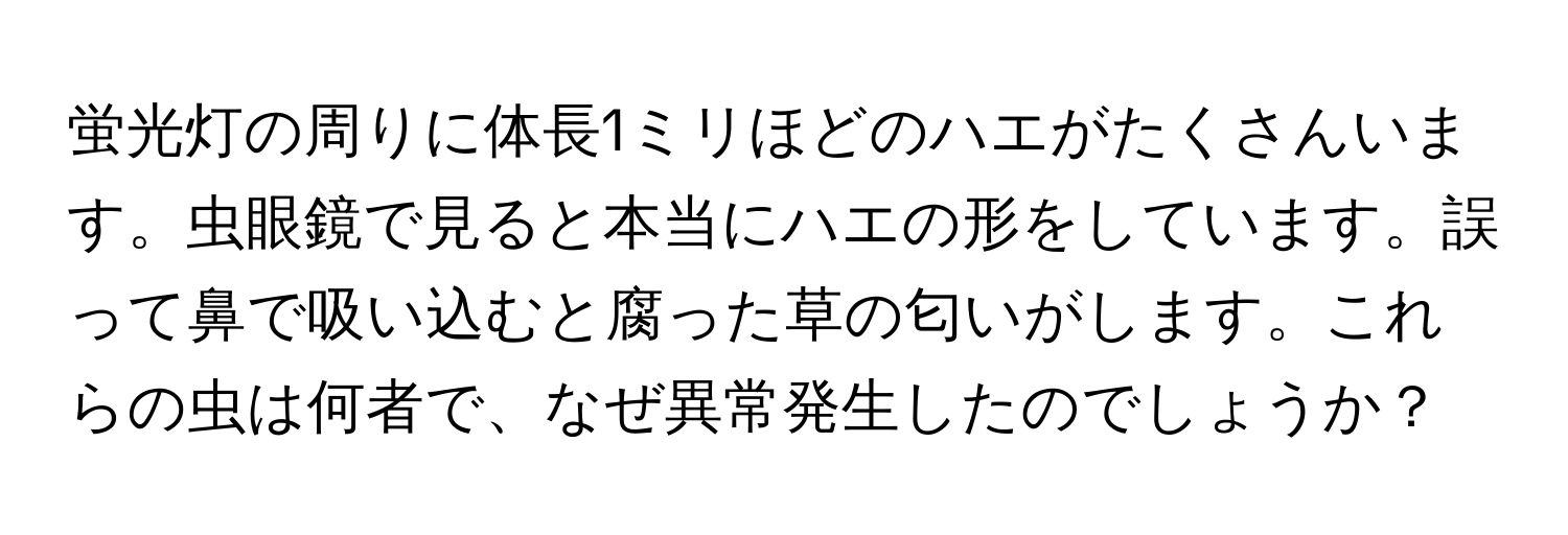 蛍光灯の周りに体長1ミリほどのハエがたくさんいます。虫眼鏡で見ると本当にハエの形をしています。誤って鼻で吸い込むと腐った草の匂いがします。これらの虫は何者で、なぜ異常発生したのでしょうか？