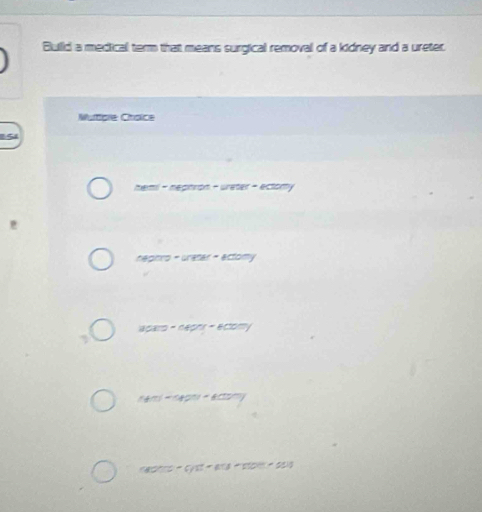 Solved: Build a medical term that means surgical removal of a kidney ...