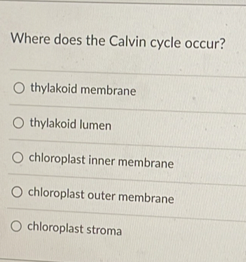 Where does the Calvin cycle occur?
thylakoid membrane
thylakoid lumen
chloroplast inner membrane
chloroplast outer membrane
chloroplast stroma