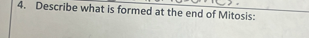 Describe what is formed at the end of Mitosis: