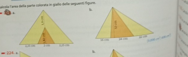 Calcola l'area della parte colorata in giallo dellle seguentí figure.
2 
    
  
224. 3.
b.