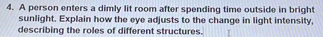 A person enters a dimly lit room after spending time outside in bright 
sunlight. Explain how the eye adjusts to the change in light intensity, 
describing the roles of different structures.