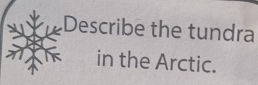 Describe the tundra 
in the Arctic.