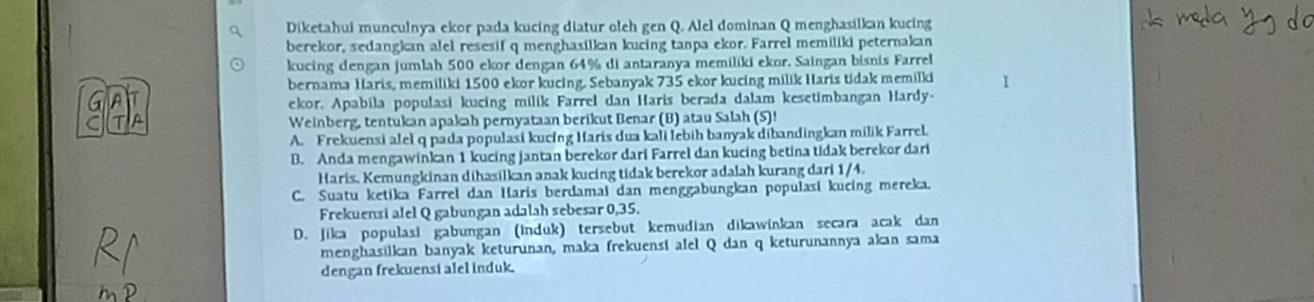 Diketahui munculnya ekor pada kucing diatur oleh gen Q. Alel dominan Q menghasilkan kucing
berekor, sedangkan alel resesif q menghasilkan kucing tanpa ekor. Farrel memiliki peternakan
kucing dengan jumlah 500 ekor dengan 64% di antaranya memiliki ekor. Saingan bisnis Farrel
bernama Haris, memiliki 1500 ekor kucing. Sebanyak 735 ekor kucing milik Haris tidak memilki
ekor. Apabila populasi kucing milik Farrel dan Haris berada dalam kesetimbangan Hardy-
Weinberg, tentukan apakah pernyataan berikut Benar (B) atau Salah (S)!
A. Frekuensi alel q pada populasi kucing Haris dua kali lebih banyak dibandingkan milik Farrel
B. Anda mengawinkan 1 kucing jantan berekor dari Farrel dan kucing betina tidak berekor dari
Haris. Kemungkinan dihasilkan anak kucing tidak berekor adalah kurang dari 1/4.
C. Suatu ketika Farrel dan Haris berdamai dan menggabungkan populasi kucing mereka.
Frekuensi alel Q gabungan adalah sebesar 0,35.
D. Jika populasi gabungan (induk) tersebut kemudian dikawinkan secara acak dan
menghasilkan banyak keturunan, maka frekuensí alel Q dan q keturunannya akan sama
dengan frekuensi alel induk.