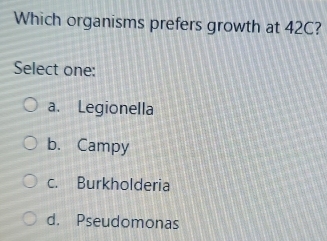 Which organisms prefers growth at 42C?
Select one:
a. Legionella
b. Campy
c. Burkholderia
d. Pseudomonas