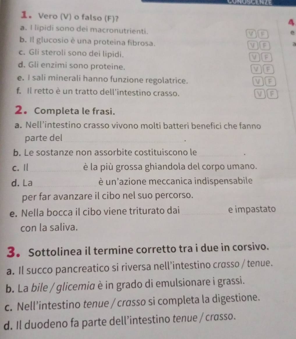 CONOSCENZE
。 Vero (V) o falso (F)?
4
a. I lipidi sono dei macronutrienti.
VIF e
b. Il glucosio è una proteina fibrosa.
V If a
c. Gli steroli sono dei lipidi. VIF
d. Gli enzimi sono proteine.
VF
e. I sali minerali hanno funzione regolatrice.
f. Il retto è un tratto dell’intestino crasso.
VF
2. Completa le frasi.
a. Nell’intestino crasso vivono molti batteri benefici che fanno
parte del_
.
b. Le sostanze non assorbite costituiscono le_
c. I _è la più grossa ghiandola del corpo umano.
d. La _è un'azione meccanica indispensabile
per far avanzare il cibo nel suo percorso.
e. Nella bocca il cibo viene triturato dai _e impastato
con la saliva.
3。 Sottolinea il termine corretto tra i due in corsivo.
a. Il succo pancreatico si riversa nell’intestino crasso / tenue.
b. La bile / glicemia è in grado di emulsionare i grassi.
c. Nell’intestino tenue / crasso si completa la digestione.
d. Il duodeno fa parte dell’intestino tenue / crasso.