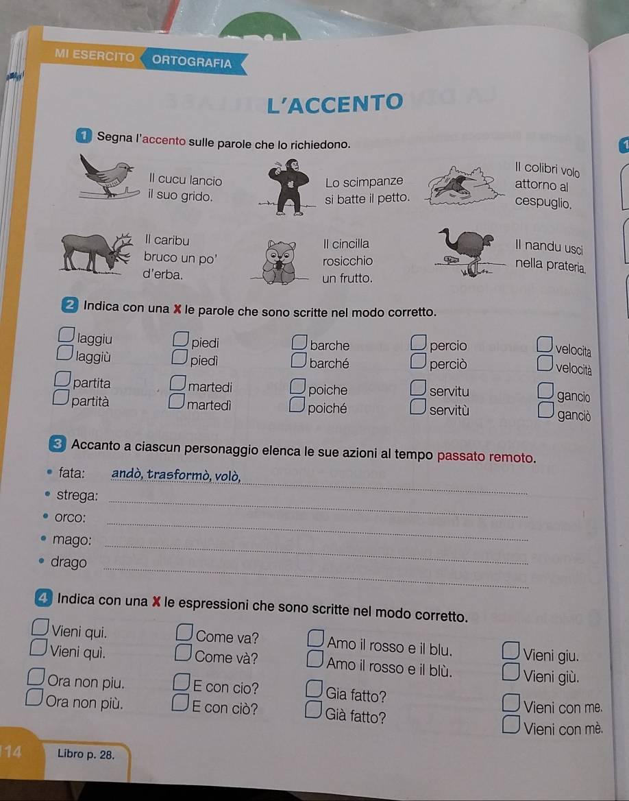 MI ESERCITO ORTOGRAFIA 
L'ACCENTO 
T Segna l’accento sulle parole che lo richiedono. 
II colibri volo 
Il cucu lancio Lo scimpanze 
attorno al 
il suo grido. 
si batte il petto. 
cespuglio. 
Il caribu Il cincilla 
Il nandu usc 
bruco un po' rosicchio 
nella prateria. 
d'erba. un frutto. 
Indica con una X le parole che sono scritte nel modo corretto. 
laggiu piedi barche 
percio 
velocita 
laggiù piedì barché 
perciò 
velocità 
partita martedi poiche servitu gancio 
partità martedì poiché servitù ganciò 
3 Accanto a ciascun personaggio elenca le sue azioni al tempo passato remoto. 
fata: andò, trasformò, volò, 
strega:_ 
_ 
orco:_ 
mago:_ 
drago_ 
4 Indica con una X le espressioni che sono scritte nel modo corretto. 
Vieni qui. Come va? Amo il rosso e il blu. Vieni giu. 
Vieni quì. Come và? Amo il rosso e il blù. 
Vieni giù. 
Ora non piu. E con cio? Gia fatto? 
Ora non più. E con ciò? Già fatto? Vieni con me. 
Vieni con mè.
14 Libro p. 28.