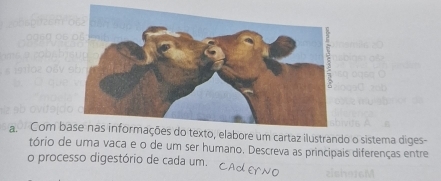 Com bore um cartaz ilustrando o sistema diges- 
tório de uma vaca e o de um ser humano. Descreva as principais diferenças entre 
o processo digestório de cada um.