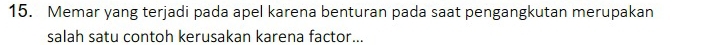 Memar yang terjadi pada apel karena benturan pada saat pengangkutan merupakan 
salah satu contoh kerusakan karena factor...