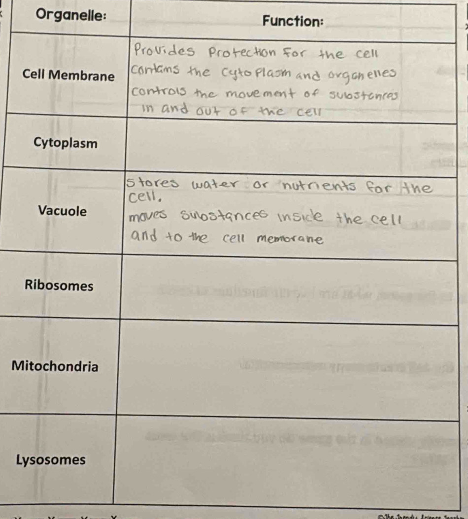 Organelle: Function:_ 
Mi 
Ly