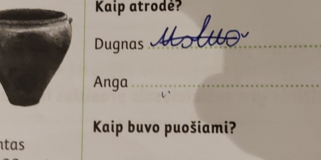 Kaip atrodė?
Dugnas
Anga
Kaip buvo puošiami?
tas