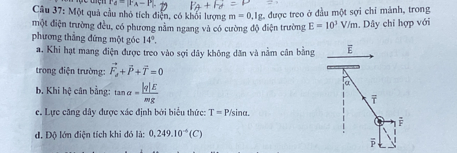 F_d=|F_A-P|
Câu 37: Một quả cầu nhỏ tích điễn, có khối lượng m=0,1g , được treo ở đầu một sợi chỉ mảnh, trong 
một điện trường đều, có phương nằm ngang và có cường độ điện trường E=10^3V/m. Dây chỉ hợp với 
phương thẳng đứng một góc 14^0. 
a. Khi hạt mang diện được treo vào sợi dây không dãn và nằm cân bằng overline E
trong điện trường: vector F_d+vector P+vector T=0
b. Khi hệ cân bằng: tan alpha = |q|E/mg 
α
vector T
c. Lực căng dây được xác định bởi biểu thức: T=P/sin α. 
d. Độ lớn điện tích khi đó là: 0,249.10^(-6)(C)
overline P