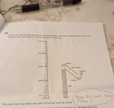 A pupil is observing the behaviour of a woodpecker. He usas a perscope to look over s 
wall at a tree, and wats for the bind to land on the trou 
point A
Doin B 
mrror 
point C perscope 
puprs 
eye 
poin micrer 
wash 
jo 
The pupil can only watch one part of the tree trunk at a time.