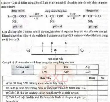 [702818]: Điểm đẳng điện pí là giá trị pH mà tại đó tổng điện tích của một phân từ amino 
acid bằng 0. 
dang cation dane son lườmg cu 
beginarrayr R-COOH vector (NH_3)^+endarray overleftrightarrow vector R-^+R- (H-COO^-)/H^+  N([H-)^++frac OHH^(H-COO^+)R-H_2 vector HH_22_2 
□  pH=pl pH>pl
Một hỗn hợp gồm 3 amino acid là glycine, histidine và arginine được đặt vào giữa của tầm gel. 
Điện đi được thực hiện và các xuất hiện 3 chẩm tương ứng với 3 amino acid được thể hiện trong 
sơ đồ bên dưới: 
Các giá trị p1 của amino acid được cung cấp trong bảng như sau: 
dươne hơm.