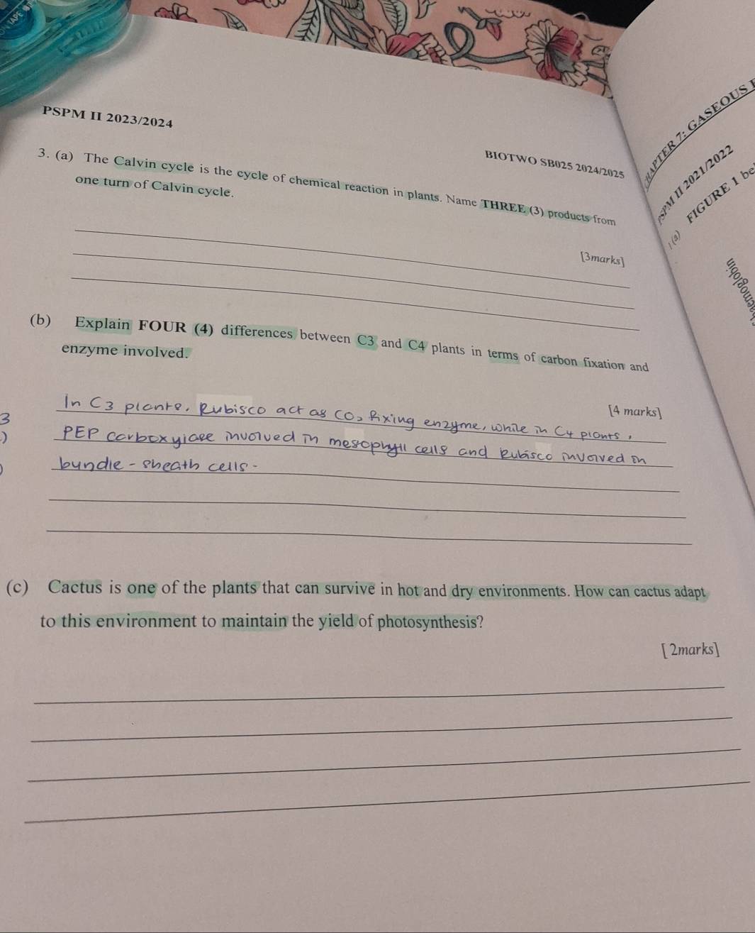 PSPM II 2023/2024 
TER 7: GASEOU: 
BIOTWO SB025 2024/2025 
_ 
_ 
3. (a) The Calvin cycle is the cycle of chemical reaction in plants. Name THREE (3) products from FIGURE 1 
one turn of Calvin cycle. 
M II 2021/202 
_ 
[3marks] 
(b) Explain FOUR (4) differences between C3 and C4 plants in terms of carbon fixation and 
enzyme involved. 
3 
_[4 marks] 
) 
_ 
_ 
_ 
_ 
(c) Cactus is one of the plants that can survive in hot and dry environments. How can cactus adapt 
to this environment to maintain the yield of photosynthesis? 
[ 2marks] 
_ 
_ 
_ 
_