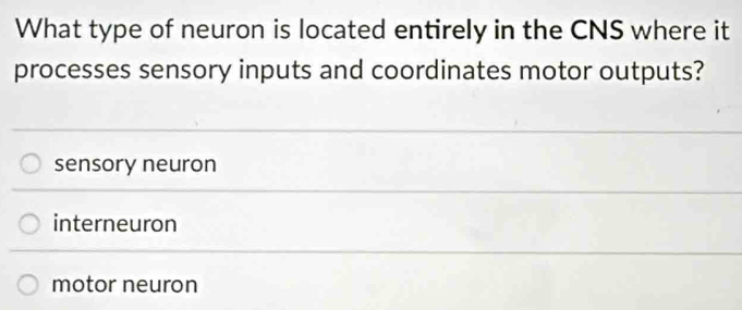 What type of neuron is located entirely in the CNS where it
processes sensory inputs and coordinates motor outputs?
sensory neuron
interneuron
motor neuron