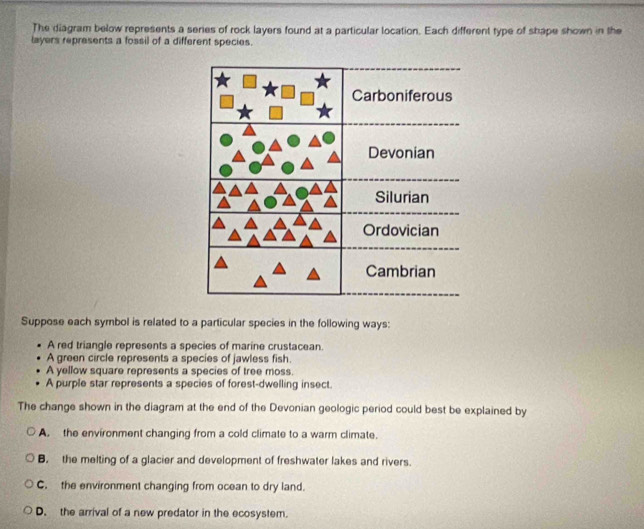 The diagram below represents a series of rock layers found at a particular location. Each different type of shape shown in the
layers represents a fossil of a different species.
Suppose each symbol is related to a particular species in the following ways:
A red triangle represents a species of marine crustacean.
A green circle represents a species of jawless fish.
A yellow square represents a species of tree moss.
A purple star represents a species of forest-dwelling insect.
The change shown in the diagram at the end of the Devonian geologic period could best be explained by
A. the environment changing from a cold climate to a warm climate.
B. the melting of a glacier and development of freshwater lakes and rivers.
C. the environment changing from ocean to dry land.
D. the arrival of a new predator in the ecosystem.