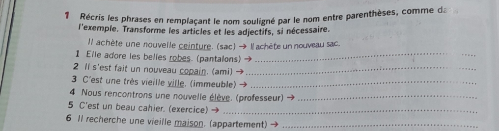 Récris les phrases en remplaçant le nom souligné par le nom entre parenthèses, comme da 
l’exemple. Transforme les articles et les adjectifs, si nécessaire. 
Il achète une nouvelle ceinture. (sac) → Ⅱ achète un nouveau sac. 
1 Elle adore les belles robes. (pantalons)_ 
2 Il s'est fait un nouveau copain. (ami)_ 
3 C'est une très vieille ville. (immeuble)_ 
4 Nous rencontrons une nouvelle élève. (professeur)_ 
5 C’est un beau cahier. (exercice) →_ 
6 Il recherche une vieille maison. (appartement)_