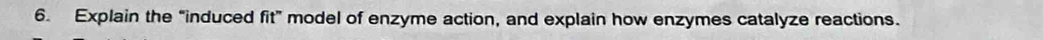 Explain the “induced fit” model of enzyme action, and explain how enzymes catalyze reactions.