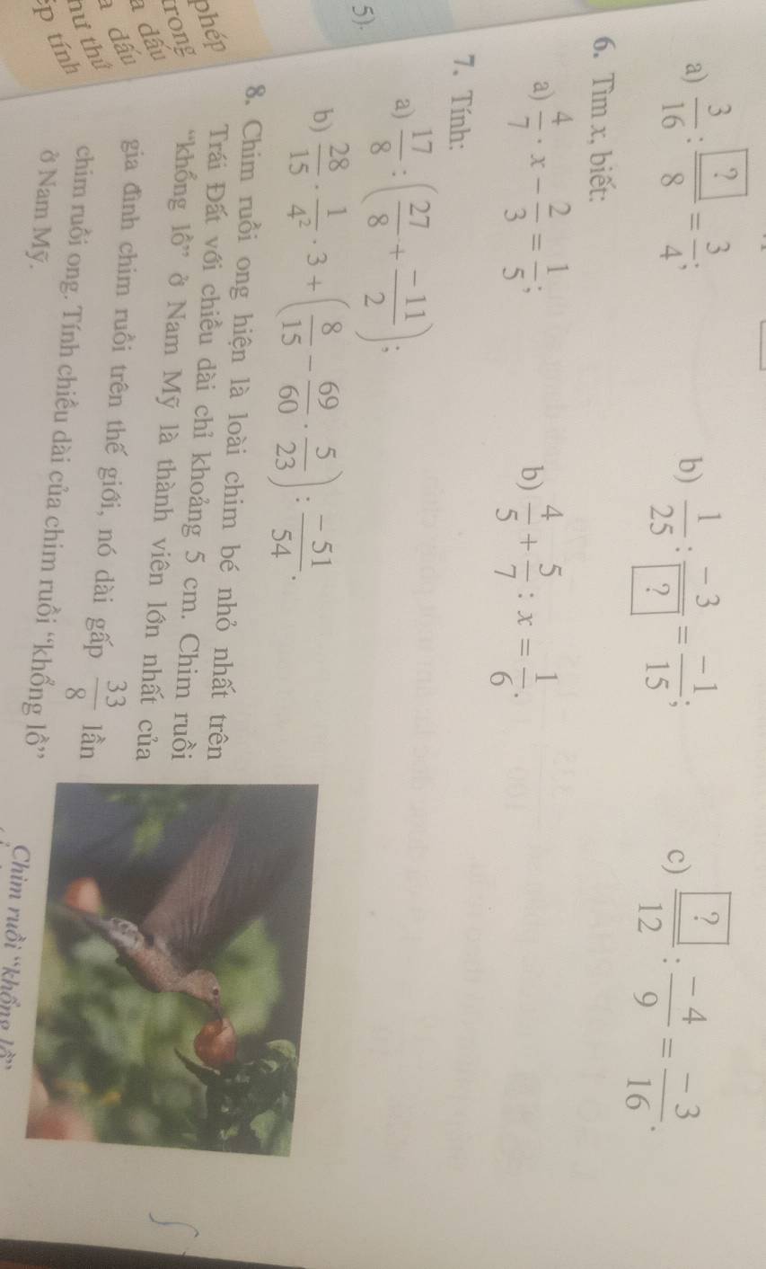  3/16 : ?/8 = 3/4  : 
b)  1/25 : (-3)/? = (-1)/15 ; 
c) frac  ?12: (-4)/9 = (-3)/16 . 
6. Tìm x, biết: 
a)  4/7 · x- 2/3 = 1/5 ; 
b)  4/5 + 5/7 :x= 1/6 . 
7、 Tính: 
a)  17/8 :( 27/8 + (-11)/2 ); 
5). 
b)  28/15 ·  1/4^2 · 3+( 8/15 - 69/60 ·  5/23 ): (-51)/54 . 
8. Chim ruồi ong hiện là loài chim bé nhỏ nhất trên 
phép Trái Đất với chiều dài chỉ khoảng 5 cm. Chim ruồi 
rong 'khổng lồ” ở Nam Mỹ là thành viên lớn nhất của 
a dấu 
đấu gia đình chim ruồi trên thế giới, nó dài gấp  33/8  lần 
p tính nư thứ 
chim ruồi ong. Tính chiều dài của chim ruồi “khổng lồ” Chim ruồi khổn 
ở Nam Mỹ.