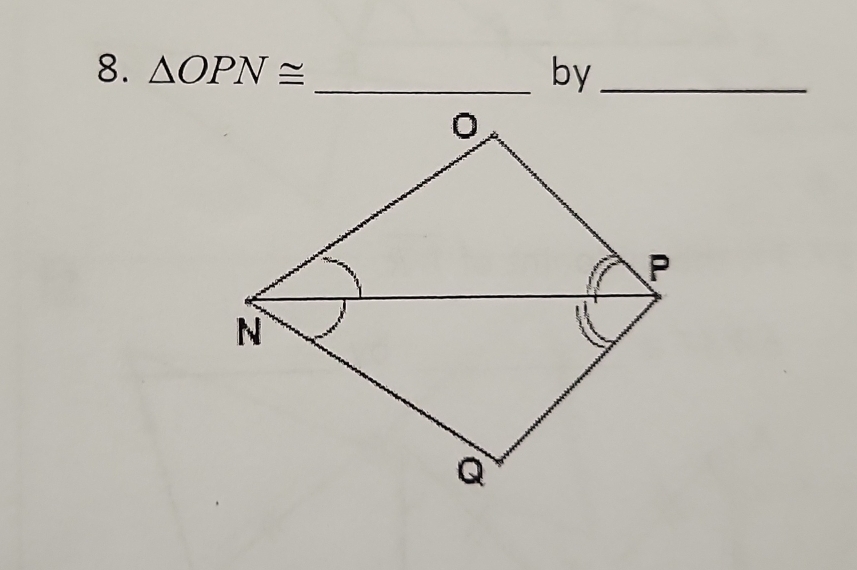 △ OPN≌ _by_