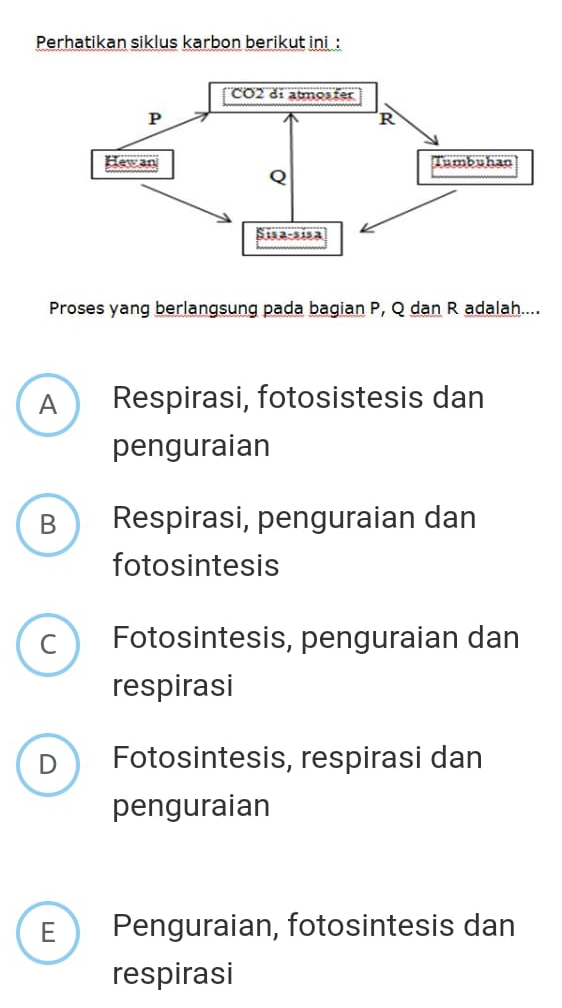 Perhatikan siklus karbon berikut ini :
Proses yang berlangsung pada bagian P, Q dan R adalah....
A Respirasi, fotosistesis dan
penguraian
B Respirasi, penguraian dan
fotosintesis
C ) Fotosintesis, penguraian dan
respirasi
D Fotosintesis, respirasi dan
penguraian
E  Penguraian, fotosintesis dan
respirasi