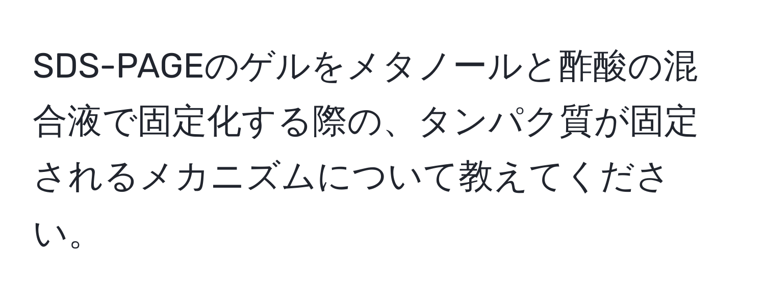 SDS-PAGEのゲルをメタノールと酢酸の混合液で固定化する際の、タンパク質が固定されるメカニズムについて教えてください。