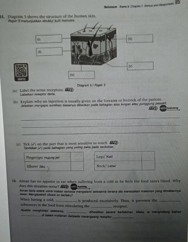 Belence Form 3 Chapter 1 Stmwl and Responses 
H. Diagram 5 shows the structure of the human skin. 
Rejeh 5 m
INF 
Diagram 5 / Rajah 5 
(a) Label the sense receptors. 
Labelkan reseptor dería. 
(b) Explain why an injection is usually given on the forearm or buttock of the patient. 
Jelaskan mengapa suntikan biasanya dibenkan pada bahagian alas longan atau punggung pesakit. 
1R5 n Folusn 
_ 
_ 
_ 
(c) Tick (√) on the part that is most sensitive to touch. Me 
Tandakan (√) pada bahagian yang paling peka pada sentunan. 
Legs/ Kaki 
Neck/ Laher 
12. Aiman has no appetite to eat when suffering from a cold as he feels the food tastes bland. Why 
does this situation occur? (③ o Apoiyes 
Aiman tieda selera untuk makan somasa mengalami selesema kerana dia merasakanı makanan yang dimakannya 
lawar. Mengapakah situasi ini berfaku? 
When having a cold. _is produced excessively. Thus, it prevents the_ 
substances in the food from stimulating the_ receptor. 
Apablle manghidapi selesams, _diħasilkan secera berfebihan. Maka, ia menghalang behan 
_di dalam məkanan darlpada merangsang resepfor_