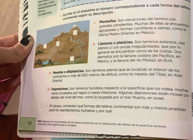 pesizamientos de Curales, como es el Gráll 
1 Escribe en el esquema el número correspondiente a cada forma del reliew 
ziema o 
Inundaciones 
continental según su descripción. 
1. Montañas. Son elevaciones del terreno con 
grandes pendientes. Muchas de ellas se encuentra 
agrupadas y forman corcilleras o sierras, como la 
Sierra Madre Oriental en México. 
II. Llanuras o planicies. Son terrenos extensos, casi 
planos o con pocas irregularidades, que por lo 
general se encuentran cerca de las costas. Dos 
ejemplos son la Ilanura costera del Pacífico, en 
México, y la llanura del río Misisipi, en EUA 
IIII. Mesetas o altiplanicles. Son terrenos planos que se localizan al interior de los 
continentes a más de 500 metros de altitud, como la meseta del Tibet, en Asia 
Oriental. 
IV. Depresiones. Son terrenos hundidos respecto a la superficie que los rodea, muchas 
veces ocupados por lagos o mares interiores. Algunas depresiones están incluso por 
debajo del nivel del mar, como la ocupada por el mar Muerto, en Israel. 
En grupo, comenten qué formas del relieve continental son más y menos propicias 
para los asentamientos humanos y por qué. 
PDA: Relaciona los movimientos de las placas tectónicas con la distribución del relieve de la superficia terrestre
56 y recondce otros agentes que lo modelan.