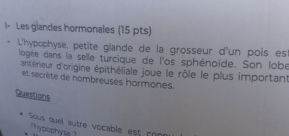 I- Les glandes hormonales (15 pts)
- L'hypophyse, petite glande de la grosseur d'un pois est
logée dans la selle turcique de l'os sphénoïde. Son lobe
'antérieur d'origine épithéliale joue le rôle le plus important
et secrète de nombreuses hormones.
Questions
Sous quel autre vocable est con
'hypophyse