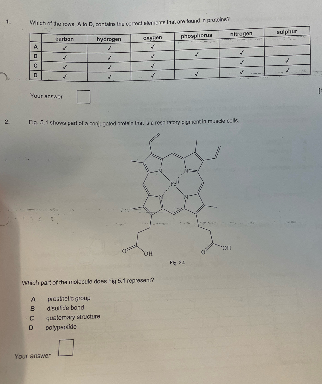 Which of the rows, A to D, contains the correct elements that are found in proteins?
Your answer □
1
2. Fig. 5.1 shows part of a conjugated protein that is a respiratory pigment in muscle cells.
Which part of the molecule does Fig 5.1 represent?
A prosthetic group
B disulfide bond
C quaternary structure
D polypeptide
Your answer